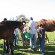 AgriculturevisitedefermesCPIEPrigordLimousin357