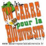 EAE carré biodiversité (3)