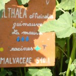 SE lud'eau vive Varaignes (4)