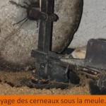 Énoisage et huile de noix au château de Varaignes