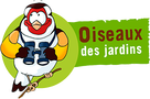 Oiseaux des jardins