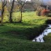 lud'eau vive©CPIE Périgord Limousin (796)