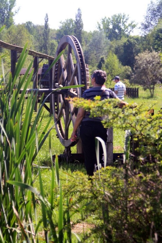 Lud'eau vive CPIE Périgord Limousin Varaignes