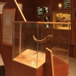 Musée préhistoire Teyjat