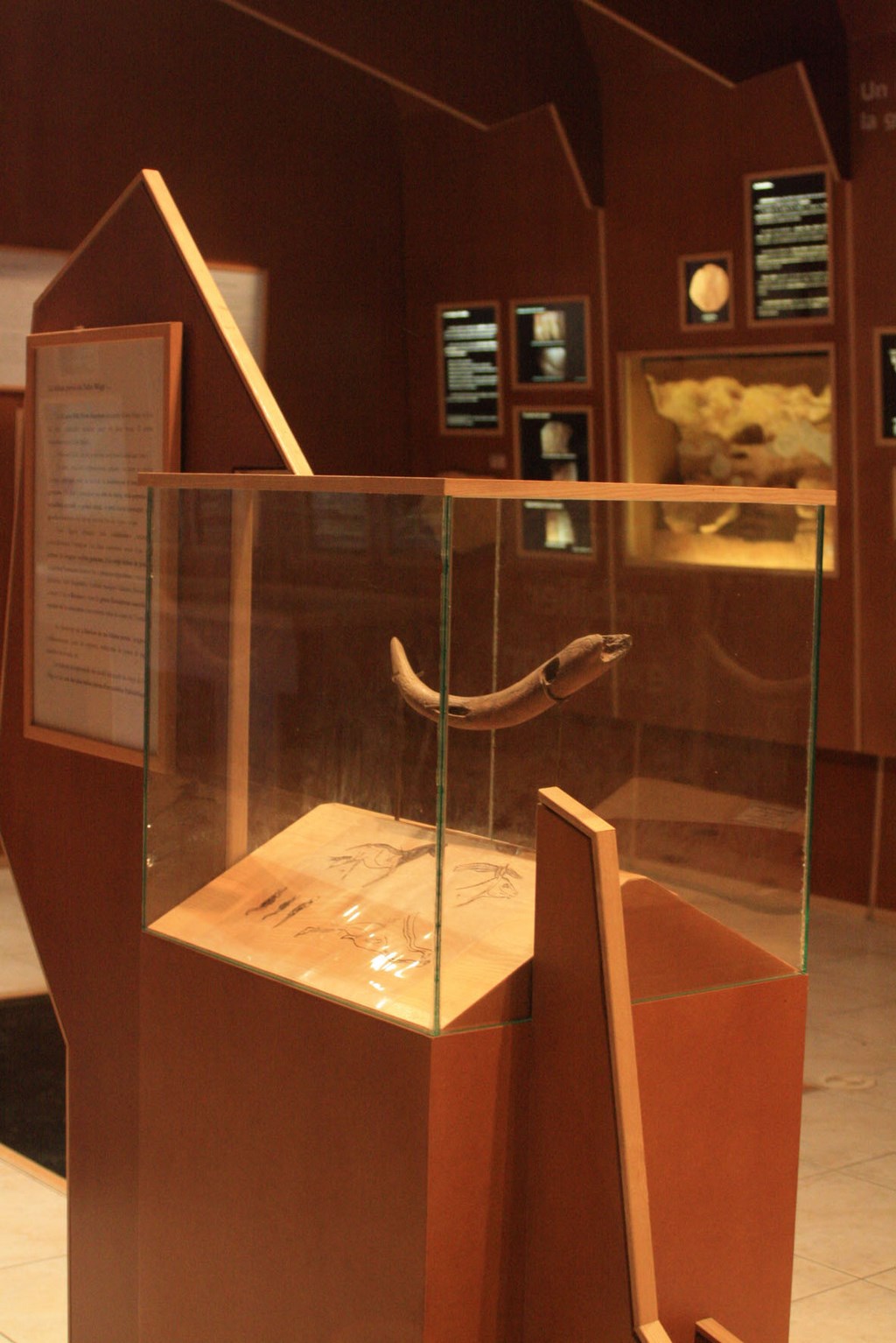 Musée préhistoire Teyjat