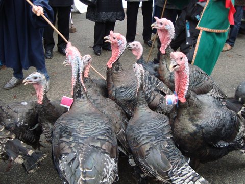 Foire aux dindons à Varaignes