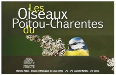 oiseaux poitou charente site