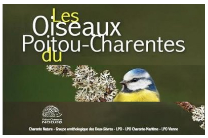 oiseaux poitou charente site