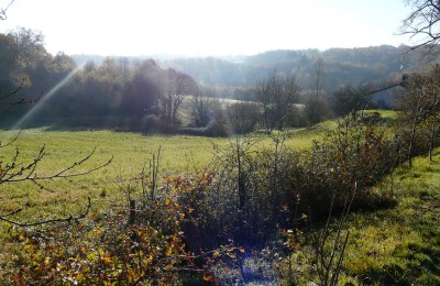 Appel à projet pour la plantation de haies champêtre