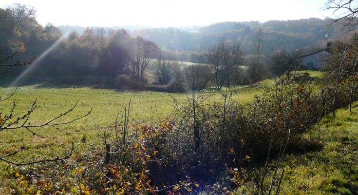 Appel à projet pour la plantation de haies champêtre