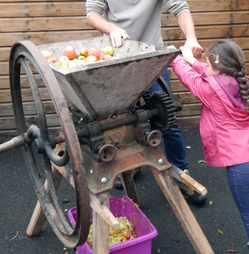 Le broyage des pommes