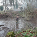 Renaturation d'une mare par le CPIE du Périgord-Limousin