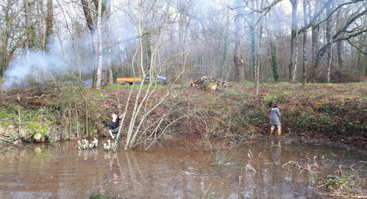 Renaturation d'une mare par le CPIE du Périgord-Limousin