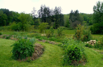 jardin à la Chapelle-Montmoreau