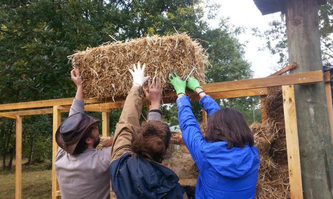 structure de la fenêtre stage construction paille