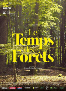 chevêche 2019 Le temps des forêts