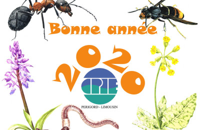 voeux 2020 du CPIE du Périgord-Limousin