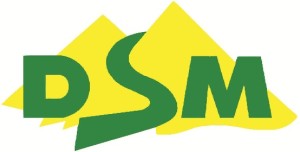 logo-dsm