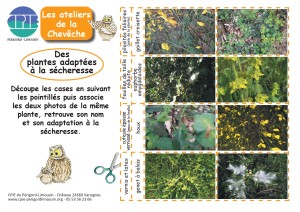 cpiepl-fiche jeu plantes-secheresse