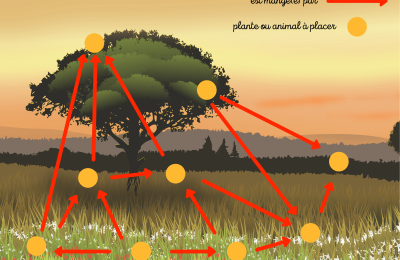 jeu-chaine-alimentaire-2