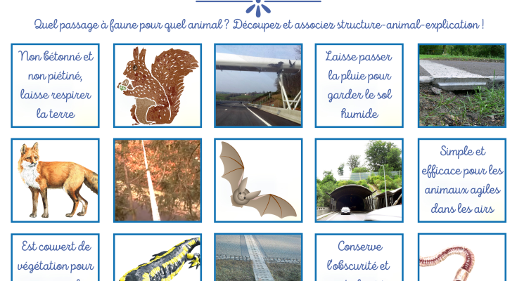 jeu_passages_a_faune