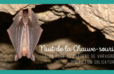 nuit_de_la_chauve_souris