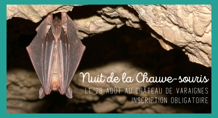 nuit_de_la_chauve_souris