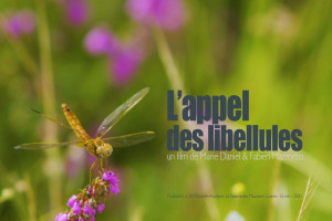 affiche_appel_libellules