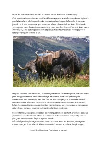 Highland Initiatives_place au yak_p1