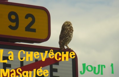 semaine-cheveche_masquee_jour1