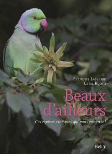 couv_livre_beaux_ailleurs