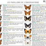 Operation_Papillons_Fiche_identification_page-0001