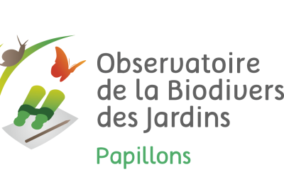 Logo_OBJ_papillon