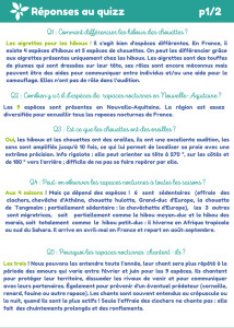 Carnet-exploration-nuitchouette-reponses-p1