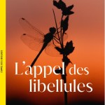 Affiche_DVD