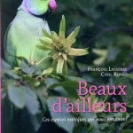 Les-beaux-dailleurs