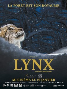 affiche-film-lynx