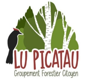 logo-GFC-LuPicatau