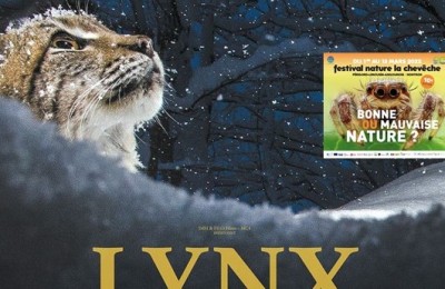 Affiche_lynx