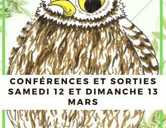 conferences