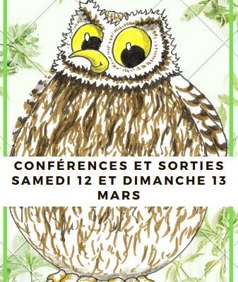 conferences