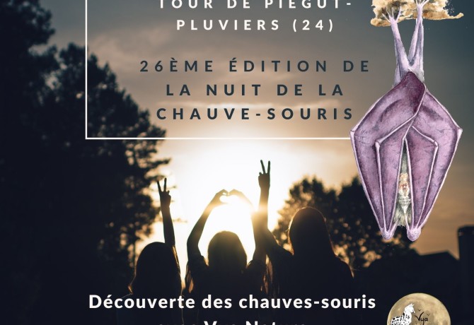 CPIEPL_Nuit_chauve-souris-16aout_2022