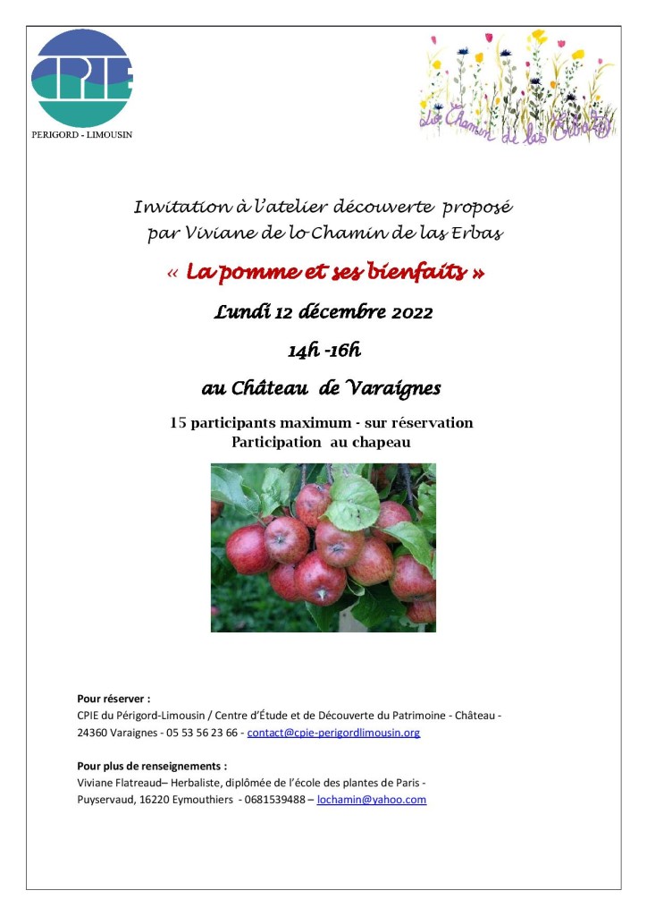 CPIEPL_Lochamindelaserbas_Anim_Pommes_Invitation_121222