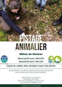 Festival-nature-rdv-cheveche-pistage-2023