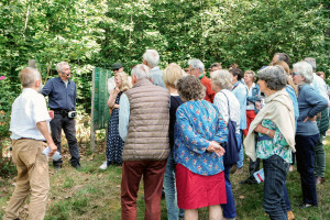 desir-foret-arboretum-oiseaux-GC
