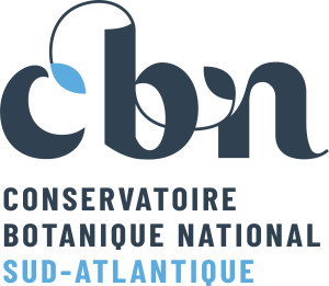 CBN-logo-SA