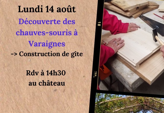 CPIEPL_Balade_famille_chauve-souris_14 aout