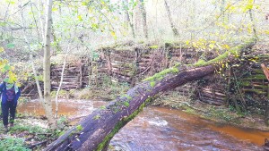 Aménagement ancien pour contenir l'érosion des berges. Contrôler ou laisser faire ?