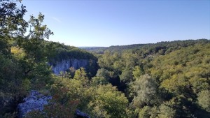 Rdv_cheveche_SOSForetDordogne