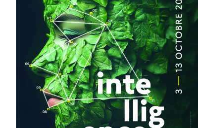 FDS25_affiche_297x420_partenaires